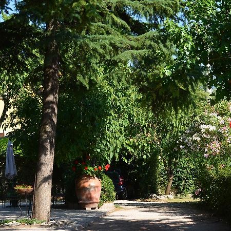 B&B Il Giovine Campello sul Clitunno Zewnętrze zdjęcie